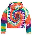 Polo Ralph Lauren Hoodie - Beskuren - Summit - Rainbow