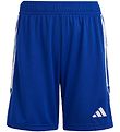 adidas Performance Shorts - TIRO 23 SHO Y - Blue/White