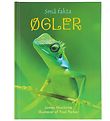 Gads Forlag Book - Small facts - Lizards - Danish