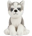 Living Nature Soft Toy - 17x7 cm - Husky Puppy - Grey/White