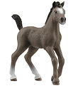 Schleich Horse Club - Selle Français colt - H: 8 cm - 13957