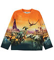 Molo Blouse - Mountoo - Dino Planet