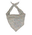 GoBabyGo Teething Bib - Bandana - Katie & Millie Orange