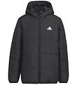 adidas Performance Vadderad jacka - JK Pad JKT - Svart