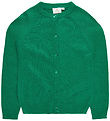 The New Cardigan - TnEve - Bosphorus M. Glimmer
