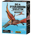 KidzLabs 4M - Fouilles Pteranodon