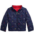 Polo Ralph Lauren Steppjacke - Umkehrbar - Rot/Navy m. Logos