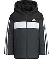 adidas Performance Gevoerde Jas - LK PAD JKT - Zwart