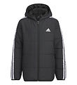 adidas Performance Puffer Jacket - JK 3S PAD JKT - Black
