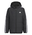 adidas Performance Padded Jacket - JK 3S PAD JKT - Black