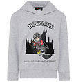 LEGO Wear Sweat  Capuche - Harry Potter - LWStorm - Grey Melan