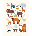 Citatplakat Poster - Kinderplakat - Tiere Europas - A3