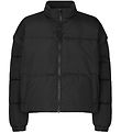 Rosemunde Padded Jacket/Waistcoat - Black