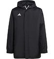 adidas Performance Puffer Jacket - ENT22 STAD JKTY - Black
