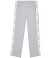 Lacoste Sweatpants - Silver China