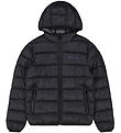 Champion Padded Jacket - Hooded - Navy