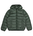 Champion Padded Jacket - Reversible - Black/Green