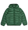 Champion Padded Jacket - Green