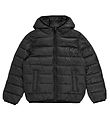 Champion Puffer Jacket - Black