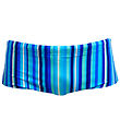 Funkita Badbyxor - Sidewinder Trunks - UV50+ - Lane Linjer
