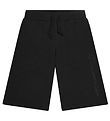 Champion Sweat Shorts - Bermuda - Black Beauty