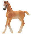 Schleich Horse Club - Arabisches Fohlen - H: 8 cm - 13984