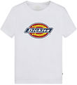 Dickies T-shirt - Youth Logo - White