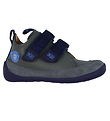 Affenzahn Shoe - Buddy Bear - Grey