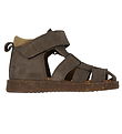 Angulus Sandalar - Byrjandi - Dark Taupe/Camel