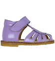 Angulus Sandals - Beginner - Lilac