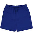 Freds World Sweat Shorts - Surf