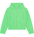 Molo Jacket - Hali - Classic+ Green