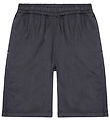 Molo Shorts - Arrow - Iron Gate