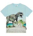 Molo T-Shirt - Roxo - Strand Dino