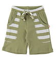 Katvig Shorts - Vert/Blanc Rayures