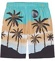 Molo Shorts - Adi - Holiday