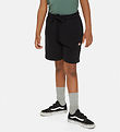 Dickies Sweat Shorts - Youth Mapleton - Knit Black