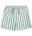 Liewood Shorts de Bain - UV40+ - Duke - Stripe Menthe poivre/Cr