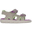 Timberland Sandals - Perkins Row - Pure Cashmere