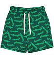 Freds World Shorts - Crocodile - Cucumber