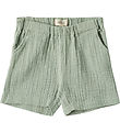 Wheat Shorts - Luca - Aquaverde