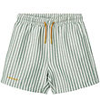 Liewood Shorts de Bain - Duke - UV40+ - Stripe Menthe poivre/Cr