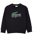 Lacoste Sweatshirt - Schwarz