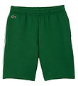 Lacoste Shorts - Vert