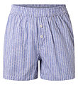 Hound Shorts - Light Blue Gestreift