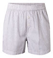 Hound Shorts - Sable Ray