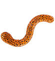 Keycraft Speelgoed - Beadz levend Snake - Oranje