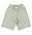 Champion Shorts en Molleton - Bermuda - Desert Sage