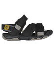 Timberland Sandalen - Abenteuersucher - Jet Black