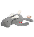 Sigikid Bangsi M. Tónlist - Rabbit - Grey